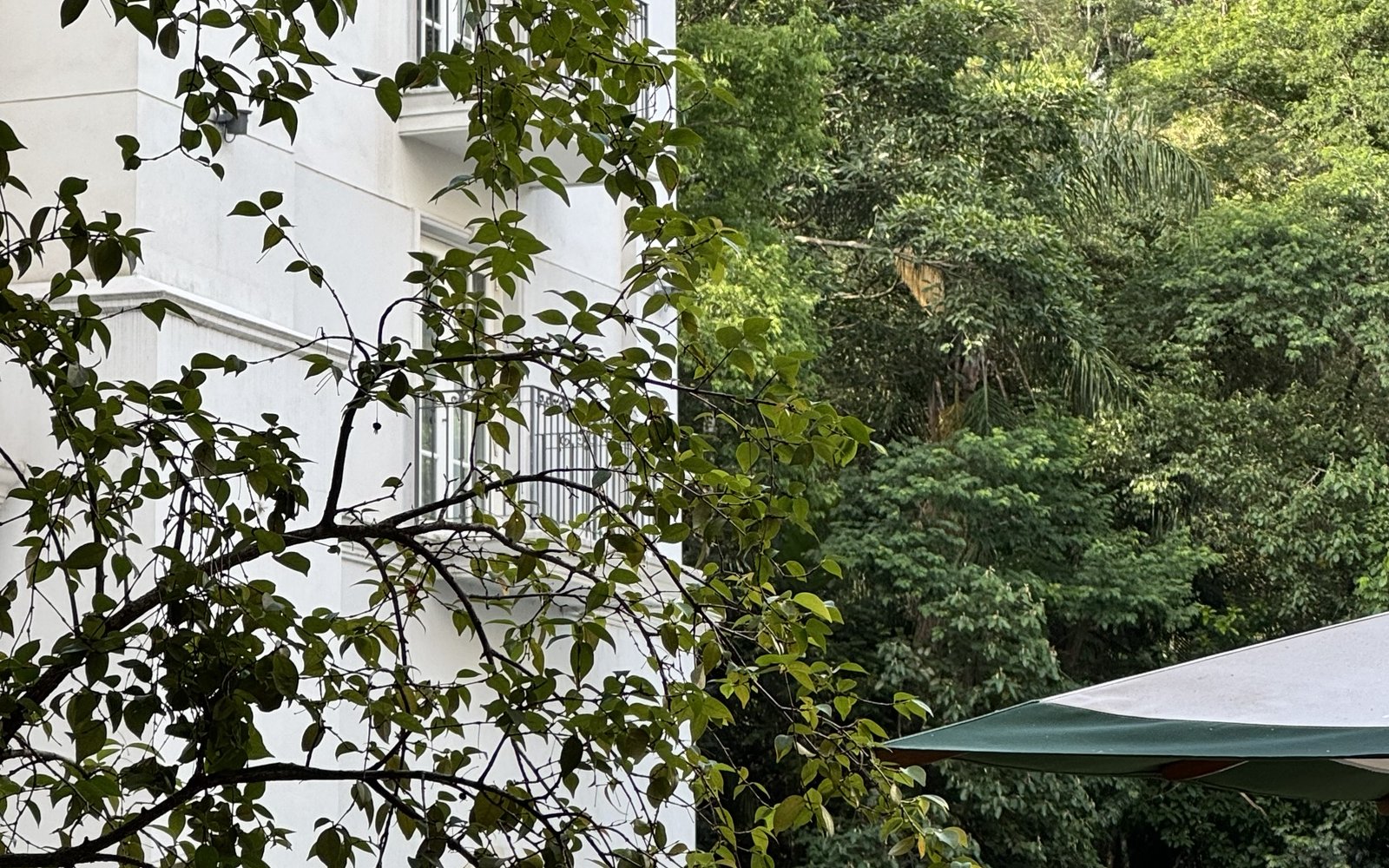 Fachada branca do Palácio Tangará, em São Paulo, entre as árvores