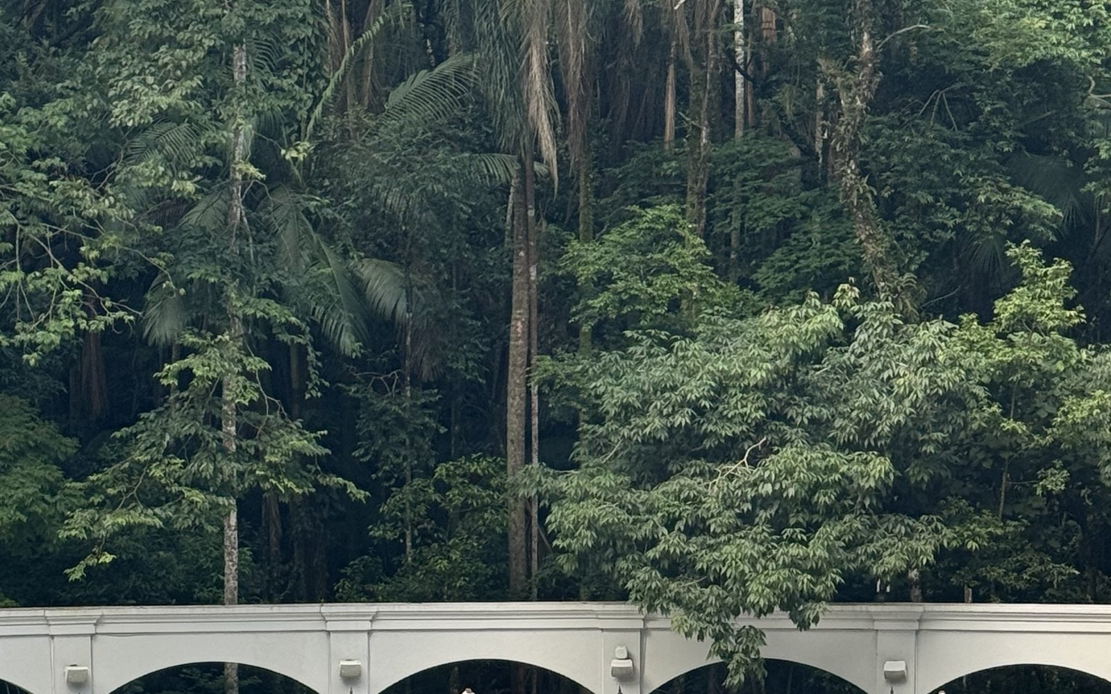 Mata densa por trás da arcada branca da piscina do Palácio Tangará