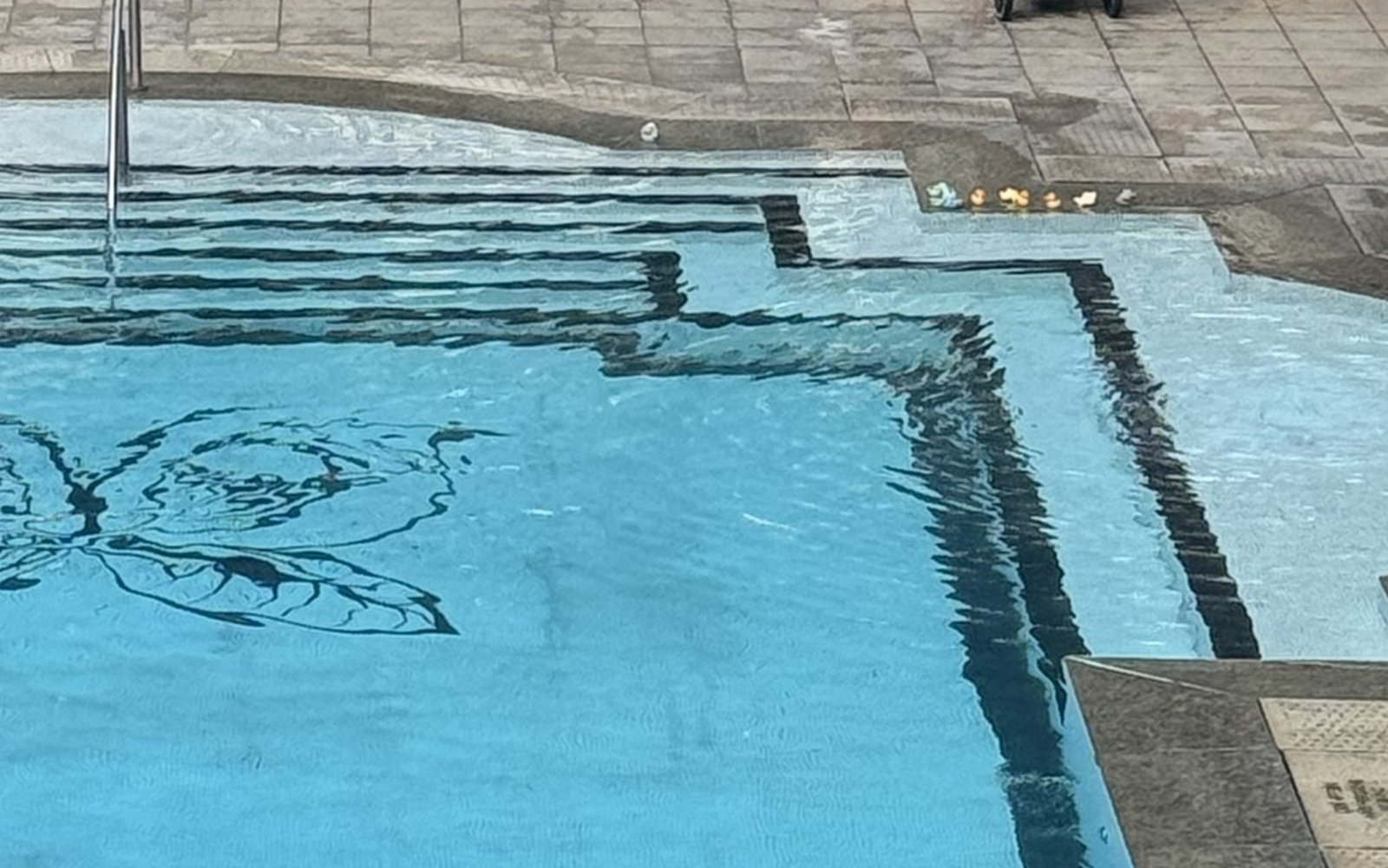 Piscina do Palácio Tangará com desenho de folhas no fundo